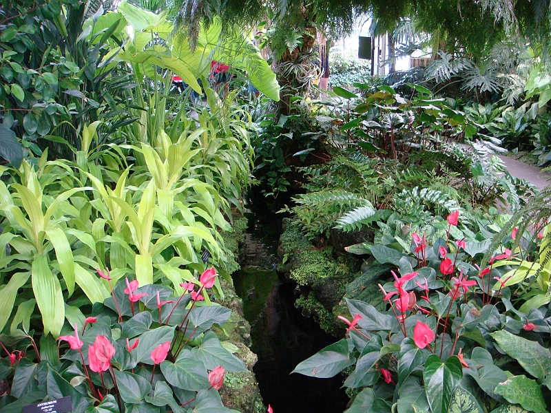 358 Longwood Gardens [2008 August 23].JPG - Longwood Gardens in Pennsylvania